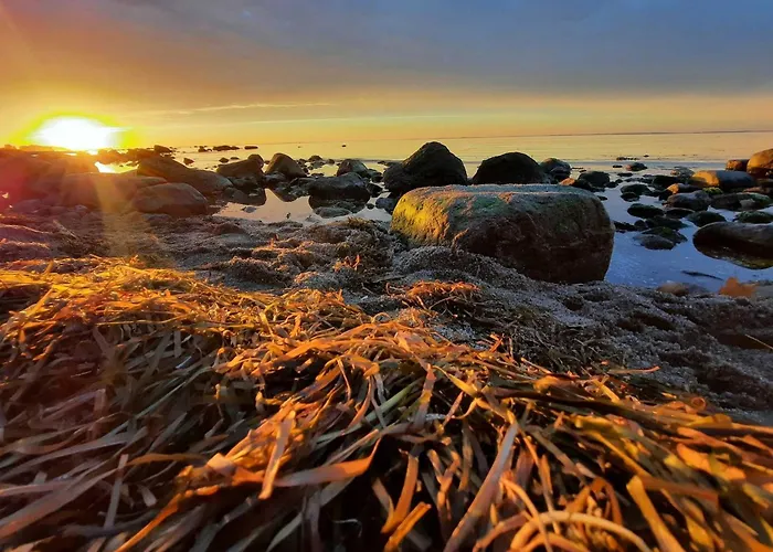 アパート Ferienunterkuenfte An Der Duene Dh-42986 ルブミン